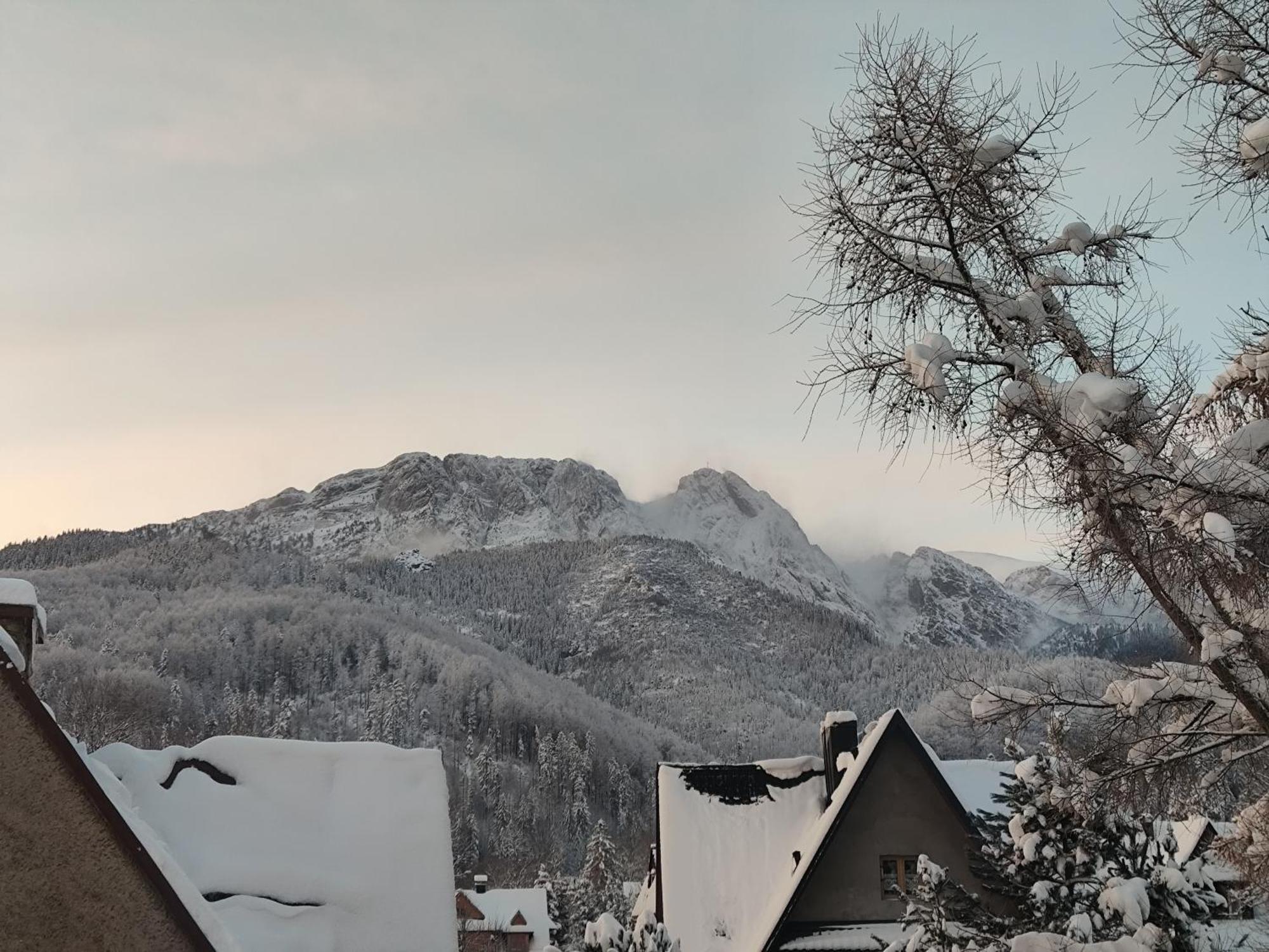 Willa Hajnowka, Zakopane